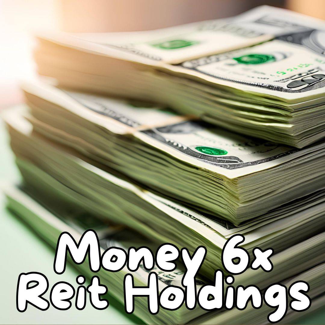 Money 6x Reit Holdings